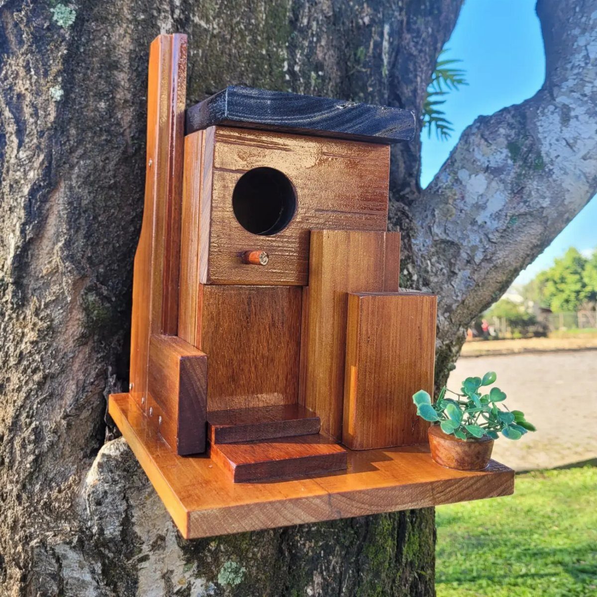 A modern minimalist wooden birdhouse with a circular hole mounted on a large tree trunk.